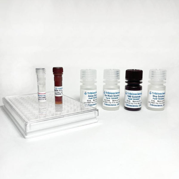 Fast Human Total-H2AX ELISA Kit – Figure 1 of 4