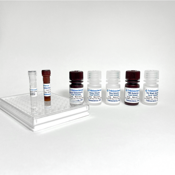 Fast Human MAPT/Tau (total) ELISA Kit – Figure 1 of 4