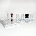 Fast Human Amyloidβ 40/Aβ40 ELISA Kit – Figure 1 of 4