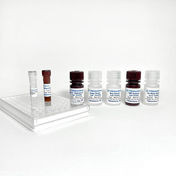 Fast Human Amyloidβ 42/Aβ42 ELISA Kit – Figure 1 of 4
