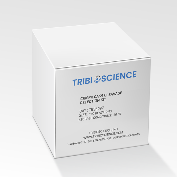 CRISPR Cas9 Cleavage Detection Kit
