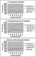 96-Well Topoisomerase DNA Cleavage Assay Kit – Figure 1 of 1