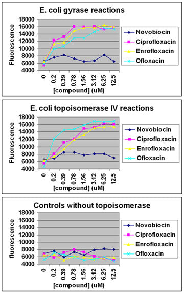 96-Well S. aureus Topo IV DNA Cleavage Assay Kit Plus – Figure 1 of 1