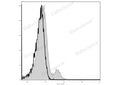 Elab Fluor® 488 Anti-Mouse CD122/IL-2RB Antibody[5H4] – Figure 3 of 5