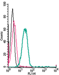 Anti-TMEM119 (extracellular)-FITC Antibody