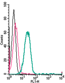 Anti-TMEM119 (extracellular)-FITC Antibody