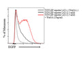 TCF/LEF Reporter Lentivirus – Figure 1 of 12