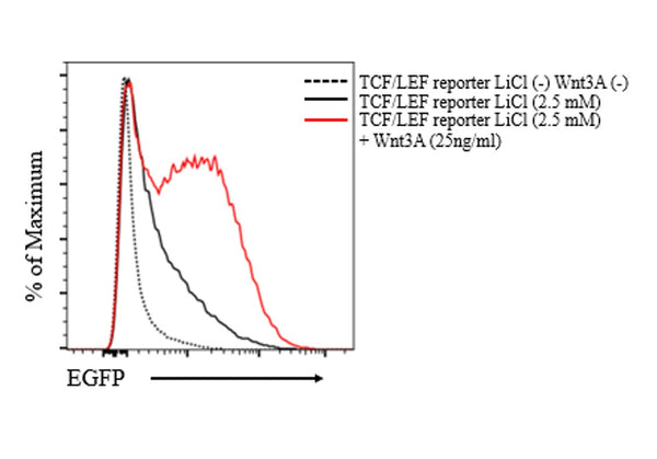 TCF/LEF Reporter Lentivirus – Figure 1 of 12