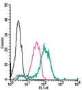 Anti-TRPV4 (extracellular)-FITC Antibody