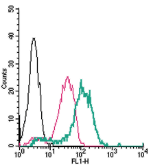 Anti-TRPV4 (extracellular)-FITC Antibody