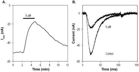 TTA-P2 (S-enantiomer) – Figure 1 of 2