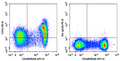 PE Anti-Mouse CD1d Antibody[19G11] – Figure 1 of 2
