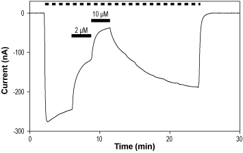 U 93631 – Figure 1 of 2