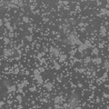 U266 cell