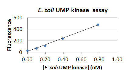 E. coli UMP Kinase Assay Kit Plus – Figure 1 of 1