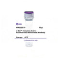 U-Blot® Influenza A virus Nucleoprotein Mouse Monoclonal Antibody – Figure 1 of 1