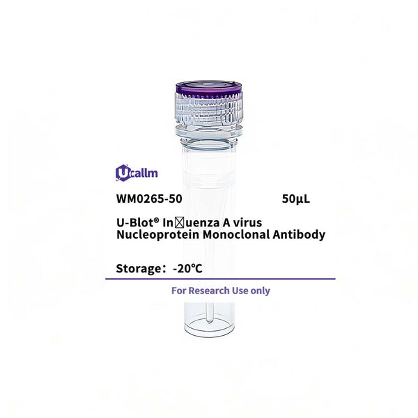 U-Blot® Influenza A virus Nucleoprotein Mouse Monoclonal Antibody – Figure 1 of 1