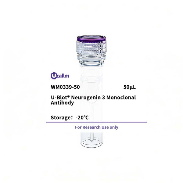 U-Blot® Neurogenin 3 Mouse Monoclonal Antibody – Figure 1 of 1