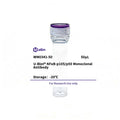 U-Blot® NFκB-p105/p50 Mouse Monoclonal Antibody (WM0341) – Figure 1 of 1