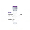 U-Blot® Syntenin Mouse Monoclonal Antibody – Figure 1 of 1