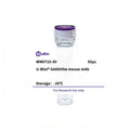 U-Blot® GADD45α Mouse Monoclonal Antibody – Figure 1 of 1