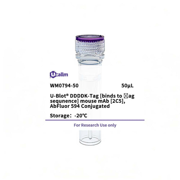 U-Blot® DDDDK-Tag(binds to flag sequence) Mouse Monoclonal Antibody (2C5), AbFluor 594 Conjugated – Figure 1 of 1