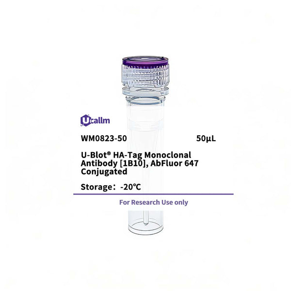 U-Blot® HA-Tag Mouse Monoclonal Antibody (1B10), AbFluor 647 Conjugated – Figure 1 of 1