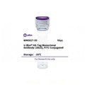 U-Blot® HA-Tag Mouse Monoclonal Antibody (1B10), FITC Conjugated – Figure 1 of 1