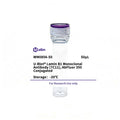 U-Blot® Lamin B1 Mouse Monoclonal Antibody (7C11), AbFluor 350 Conjugated – Figure 1 of 1