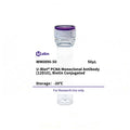 U-Blot® PCNA Mouse Monoclonal Antibody (12D10), Biotin Conjugated – Figure 1 of 1