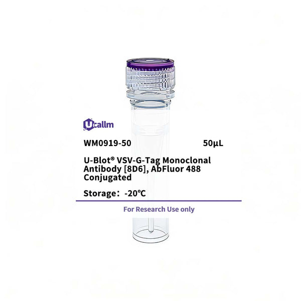 U-Blot® VSV-G-Tag Mouse Monoclonal Antibody (8D6), AbFluor 488 Conjugated – Figure 1 of 1