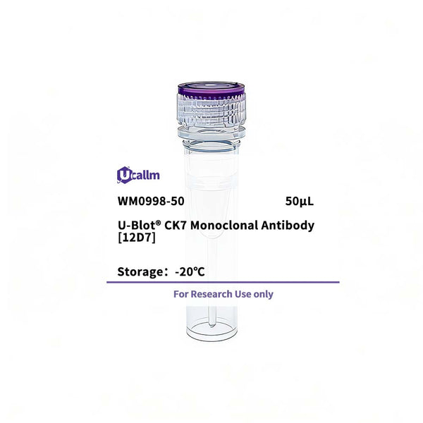U-Blot® CK7 Mouse Monoclonal Antibody (12D7) – Figure 1 of 1