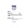 U-Blot® ABCB5 Mouse Monoclonal Antibody (11A2) – Figure 1 of 1