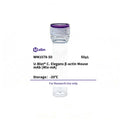 U-Blot® C. Elegans β-actin Mouse Monoclonal Antibody (Mix-mA) – Figure 1 of 1