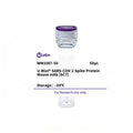 U-Blot® SARS-COV-2 Spike Protein Mouse Monoclonal Antibody (6C7) – Figure 1 of 1