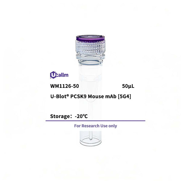 U-Blot® PCSK9 Mouse Monoclonal Antibody (5G4) – Figure 1 of 1