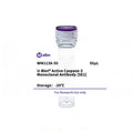 U-Blot® Active Caspase-3 Mouse Monoclonal Antibody (5E1) – Figure 1 of 1