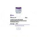 U-Blot® Acetyl NF kB P65(Lys314/315) Mouse Monoclonal Antibody (2A11) – Figure 1 of 1