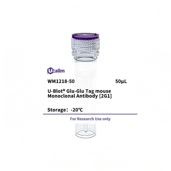 U-Blot® Glu-Glu Tag Mouse Monoclonal Antibody (2G1) – Figure 1 of 1
