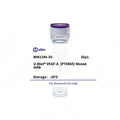 U-Blot® VEGF-A (PT0865) Mouse Monoclonal Antibody – Figure 1 of 1