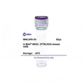 U-Blot® MED1 (PTR1203) Mouse Monoclonal Antibody – Figure 1 of 1