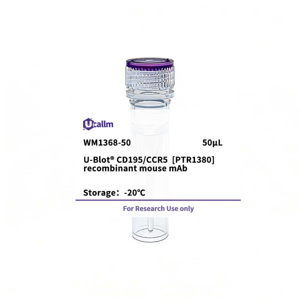 U-Blot® CD195/CCR5 (PTR1380) recombinant Mouse Monoclonal Antibody – Figure 1 of 1