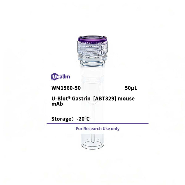 U-Blot® Gastrin (ABT329) Mouse Monoclonal Antibody – Figure 1 of 1