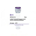 U-Blot® Cleaved-Caspase-5 p20 (D121) Rabbit Polyclonal Antibody – Figure 1 of 1
