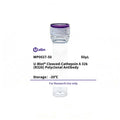U-Blot® Cleaved-Cathepsin A 32k (R326) Rabbit Polyclonal Antibody – Figure 1 of 1
