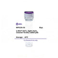 U-Blot® GGT1 (light chain, Cleaved-Thr381) Rabbit Polyclonal Antibody – Figure 1 of 1
