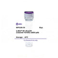 U-Blot® NF-κB p105 (Cleaved-Thr434) Rabbit Polyclonal Antibody – Figure 1 of 1