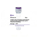 U-Blot® TAL1/2 (Acetyl Lys221/Acetyl Lys222/Acetyl Lys36/Acetyl Lys37) Rabbit Polyclonal Antibody – Figure 1 of 1