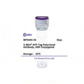 U-Blot® GFP-Tag Rabbit Polyclonal Antibody, HRP Conjugated – Figure 1 of 1