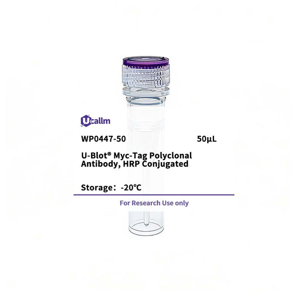 U-Blot® Myc-Tag Rabbit Polyclonal Antibody, HRP Conjugated – Figure 1 of 1